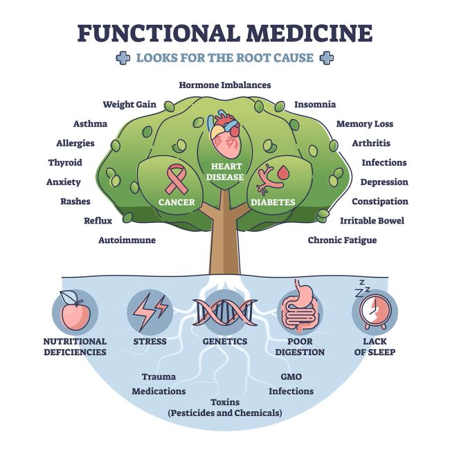 Functional Medicine Tree