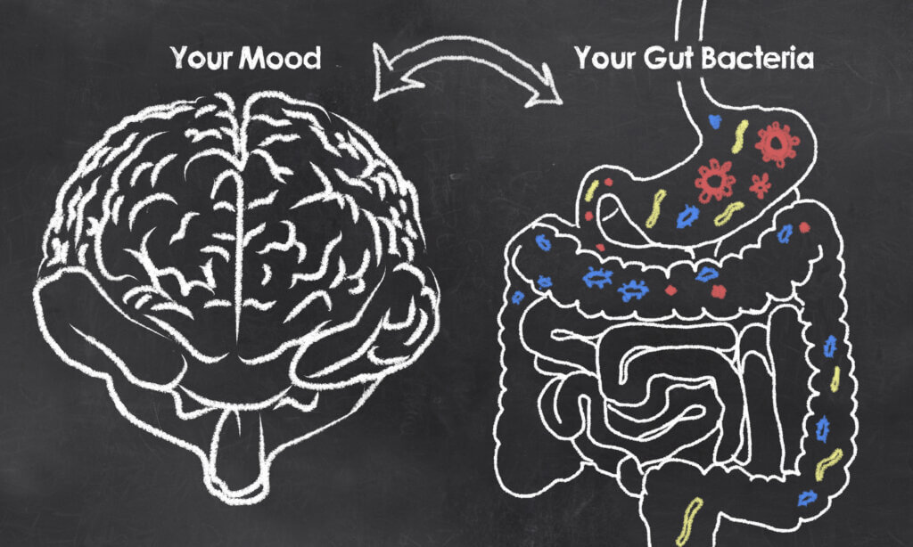 gut health affects mental health